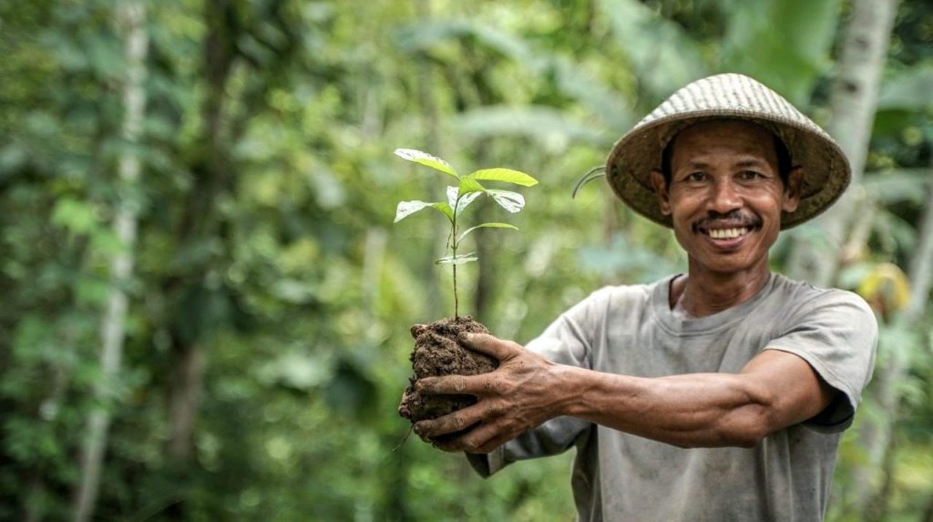 The Green Investment for Tomorrow